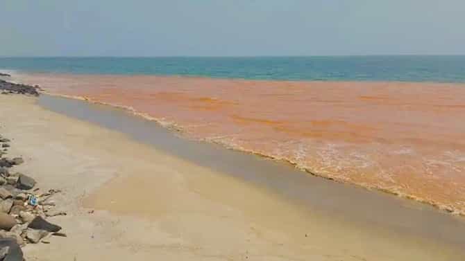 ಸಮುದ್ರ ಕೆಂಪು ಬಣ್ಣಕ್ಕೆ ತಿರುಗುತ್ತಿದೆ! ಭಯದಲ್ಲಿ ಸ್ಥಳೀಯರು, ಪ್ರವಾಸಿಗರು