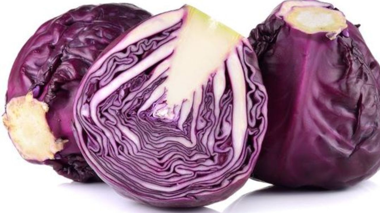Purple Cabbage: ನೀವು ಎಂದಾದರೂ ನೇರಳೆ ಬಣ್ಣದ ಎಲೆಕೋಸು ತಿಂದಿದ್ದೀರಾ? ಚರ್ಮದ ಆರೋಗ್ಯಕ್ಕೆ ಇದು ಉತ್ತಮ Purple Cabbage: ನೀವು ಎಂದಾದರೂ ನೇರಳೆ ಬಣ್ಣದ ಎಲೆಕೋಸು ತಿಂದಿದ್ದೀರಾ? ಚರ್ಮದ ಆರೋಗ್ಯಕ್ಕೆ ಇದು ಉತ್ತಮ