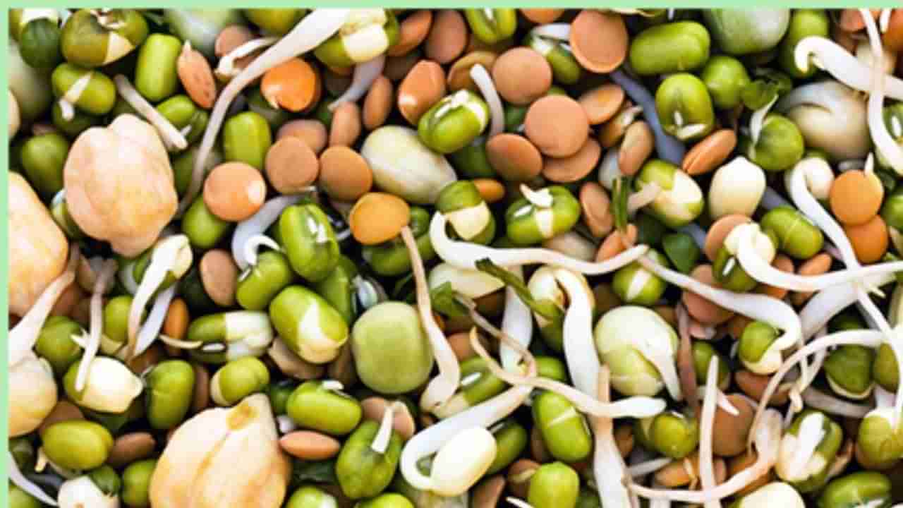 Benefits Of Sprouts: ತೂಕ ನಷ್ಟ ಹಾಗೂ ಕೂದಲಿನ ಆರೋಗ್ಯಕ್ಕೆ ಮೊಳಕೆ ಕಟ್ಟಿದ ಕಾಳುಗಳ ಸೇವನೆ ಉತ್ತಮ