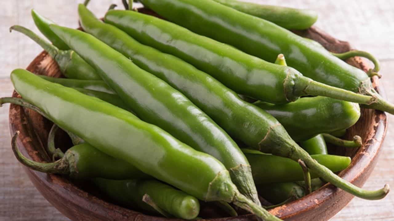 Green Chilli Benefits: ಹಸಿ ಮೆಣಸಿನಕಾಯಿ ಅಡುಗೆಯ ರುಚಿಯನ್ನು ಹೆಚ್ಚಿಸುವುದು ಮಾತ್ರವಲ್ಲ, ಆರೋಗ್ಯಕ್ಕೂ ಉತ್ತಮ Green Chilli Benefits: ಹಸಿ ಮೆಣಸಿನಕಾಯಿ ಅಡುಗೆಯ ರುಚಿಯನ್ನು ಹೆಚ್ಚಿಸುವುದು ಮಾತ್ರವಲ್ಲ, ಆರೋಗ್ಯಕ್ಕೂ ಉತ್ತಮ