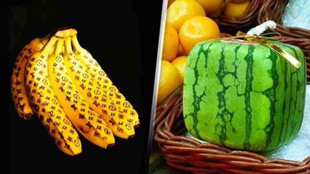 Most Expensive Fruits: ವಿಶ್ವದ ಅತ್ಯಂತ ದುಬಾರಿ ಹಣ್ಣುಗಳು ಇಲ್ಲಿದೆ 