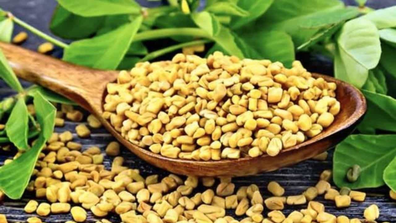 ತೂಕ ಇಳಿಸಿಕೊಳ್ಳಲು ಮೆಂತ್ಯ ಬೀಜಗಳು ಹೇಗೆ ಸಹಕಾರಿ? ಇದರ ಸೇವನೆ ಹೇಗೆ? ಇಲ್ಲಿದೆ ಮಾಹಿತಿ ತೂಕ ಇಳಿಸಿಕೊಳ್ಳಲು ಮೆಂತ್ಯ ಬೀಜಗಳು ಹೇಗೆ ಸಹಕಾರಿ? ಇದರ ಸೇವನೆ ಹೇಗೆ? ಇಲ್ಲಿದೆ ಮಾಹಿತಿ