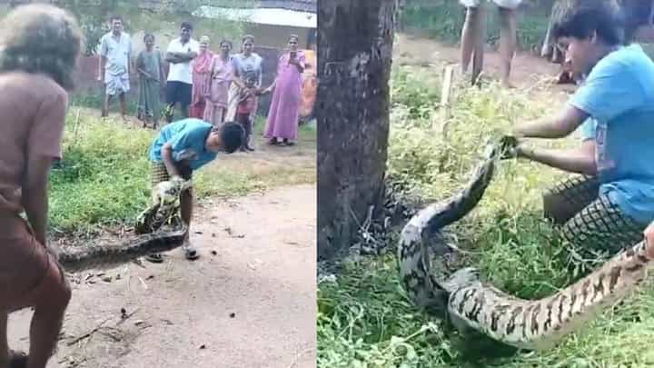 ಉಡುಪಿ: ತಂದೆಯ ಜೊತೆ ಸೇರಿ ಬೃಹತ್ ಹೆಬ್ಬಾವು ಹಿಡಿದ ಮಗ; ಇಲ್ಲಿದೆ ವಿಡಿಯೋ ಉಡುಪಿ: ತಂದೆಯ ಜೊತೆ ಸೇರಿ ಬೃಹತ್ ಹೆಬ್ಬಾವು ಹಿಡಿದ ಮಗ; ಇಲ್ಲಿದೆ ವಿಡಿಯೋ