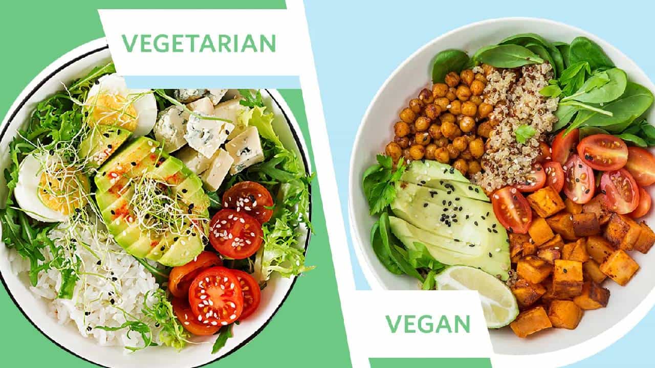 Vegan Diet: ವೆಗನ್ ಆಹಾರಕ್ರಮ ಎಂದರೇನು? ಸಸ್ಯಹಾರಕ್ಕೂ ಈ ಆಹಾರ ಕ್ರಮಕ್ಕೂ ಏನು ವ್ಯತ್ಯಾಸ? Vegan Diet: ವೆಗನ್ ಆಹಾರಕ್ರಮ ಎಂದರೇನು? ಸಸ್ಯಹಾರಕ್ಕೂ ಈ ಆಹಾರ ಕ್ರಮಕ್ಕೂ ಏನು ವ್ಯತ್ಯಾಸ?