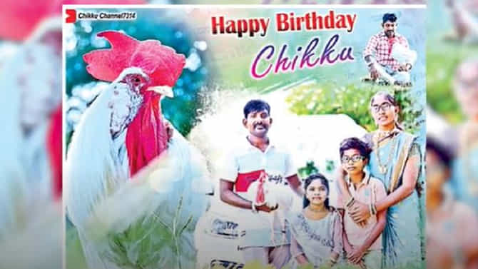 ಕೋಳಿ ಹುಂಜದ ಜನ್ಮದಿನ ಗ್ರ್ಯಾಂಡ್​​ಆಗಿ ಸೆಲಬ್ರೇಟ್​​ ಮಾಡಿದರು