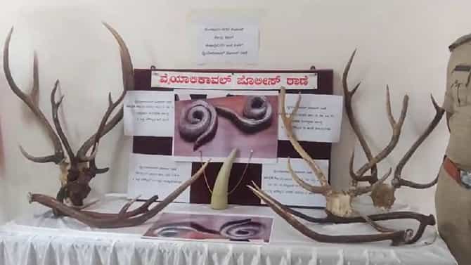 ಜಿಂಕೆ ಕೊಂಬು, ಆನೆ ದಂತ, ಎರಡು ತಲೆ ಹಾವು ಸೇಲ್​ ಮಾಡುತ್ತಿದ್ದವರು ಅರೆಸ್ಟ್