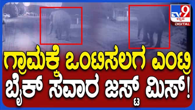 ಕಾಡಾನೆಯ ನಿಶ್ಚಿತ ದಾಳಿಯಿಂದ ಬೈಕ್ ಸವಾರನೊಬ್ಬ ತಪ್ಪಿಸಿಕೊಂಡಿದ್ದು ಪವಾಡವೇ!