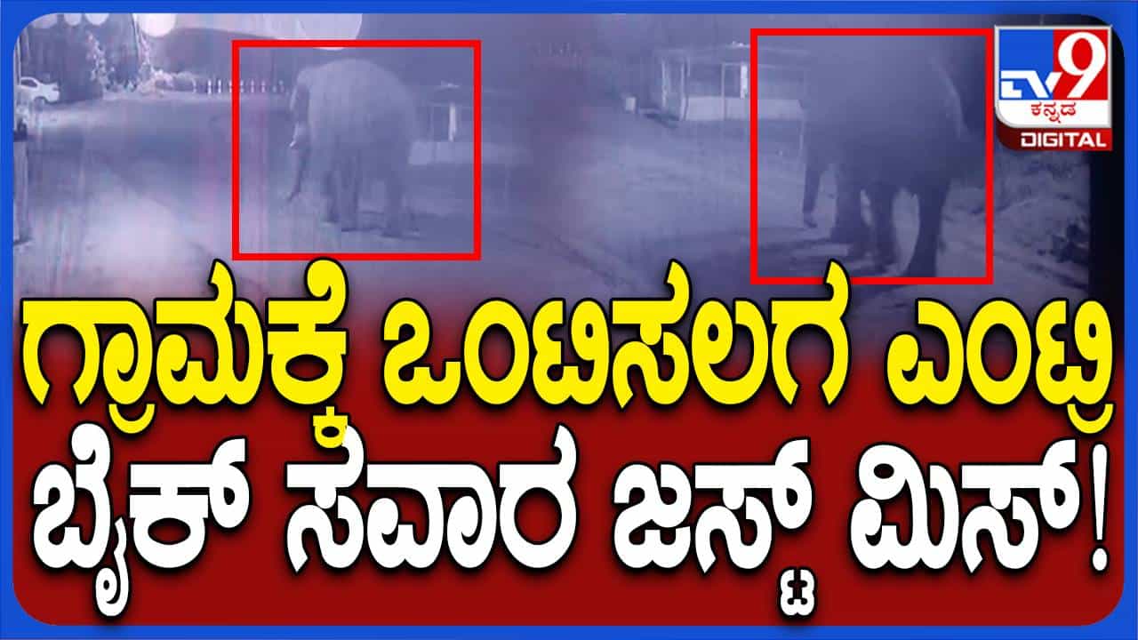 ಹಾಸನ: ಕಾಡಾನೆಯ ನಿಶ್ಚಿತ ದಾಳಿಯಿಂದ ಬೈಕ್ ಸವಾರನೊಬ್ಬ ತಪ್ಪಿಸಿಕೊಂಡಿದ್ದು ಪವಾಡವೇ! ಹಾಸನ: ಕಾಡಾನೆಯ ನಿಶ್ಚಿತ ದಾಳಿಯಿಂದ ಬೈಕ್ ಸವಾರನೊಬ್ಬ ತಪ್ಪಿಸಿಕೊಂಡಿದ್ದು ಪವಾಡವೇ!