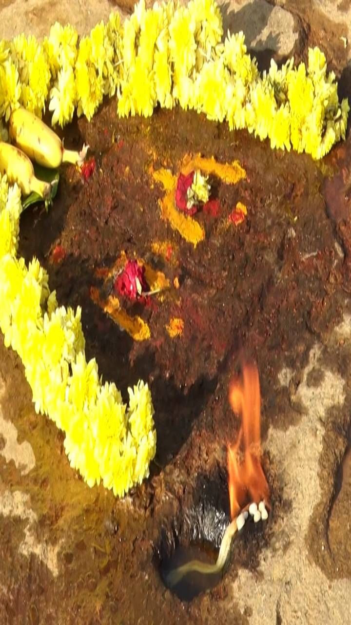 ಅಯೋಧ್ಯೆಯಲ್ಲಿ ರಾಮಲಲ್ಲಾ ಮೂರ್ತಿ ಪ್ರತಿಷ್ಠಾಪನೆ ಸಂದರ್ಭದಲ್ಲೇ ಹಾಸನ ಜಿಲ್ಲೆ ಆಲೂರು ತಾಲೂಕಿನ ಕಾಗನೂರು ಗ್ರಾಮದಲ್ಲಿ ಶ್ರೀರಾಮನ ಕುರುಹು ಪತ್ತೆ.