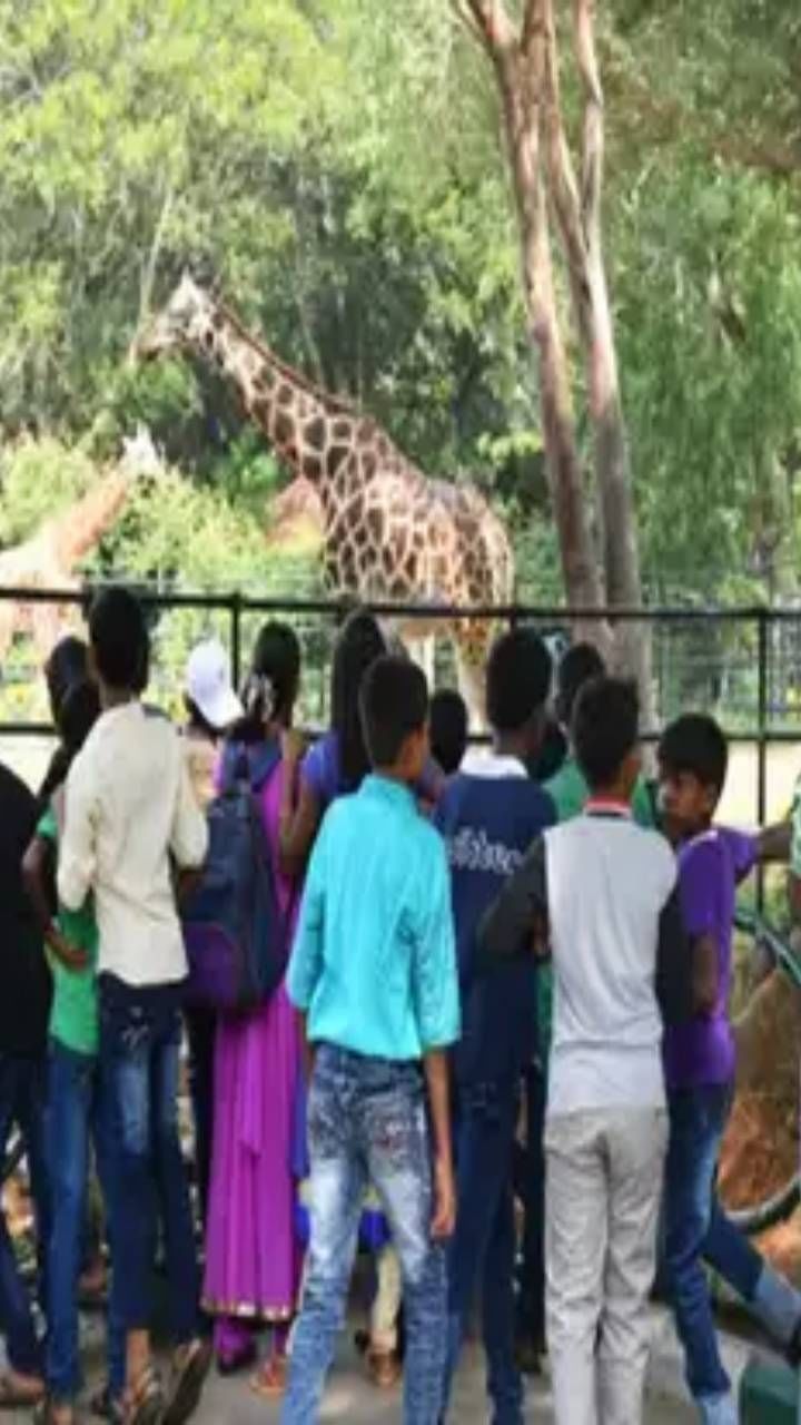 ಡಿ. 24 ರಂದು 40761 ಜನರಿಂದ ಮೃಗಾಲಯದ ವೀಕ್ಷಣೆ ಆಗಿದೆ.