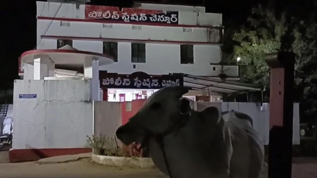 Viral Video: ಅಮಾನವೀಯ.. ಮೂಕ ಪ್ರಾಣಿಯ ವಿರುದ್ಧ ಪೊಲೀಸ್ ಠಾಣೆಯಲ್ಲಿ ಪ್ರಕರಣ ದಾಖಲು, ಕೊನೆಗೆ ಏನಾಯ್ತು?