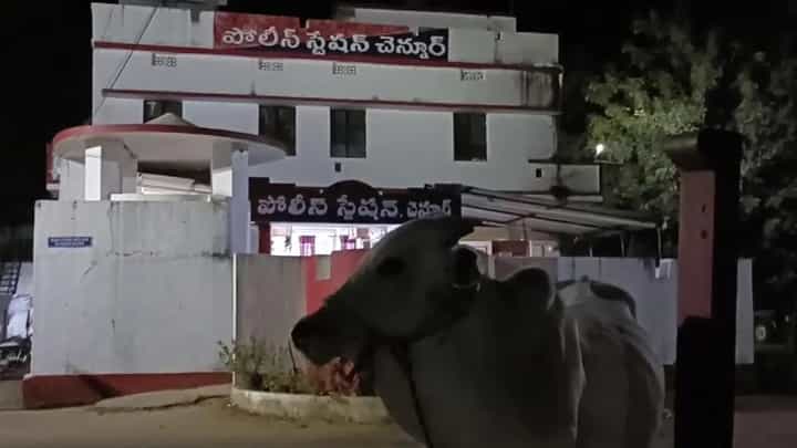 Viral Video: ಅಮಾನವೀಯ.. ಮೂಕ ಪ್ರಾಣಿಯ ವಿರುದ್ಧ ಪೊಲೀಸ್ ಠಾಣೆಯಲ್ಲಿ ಪ್ರಕರಣ ದಾಖಲು, ಕೊನೆಗೆ ಏನಾಯ್ತು? Viral Video: ಅಮಾನವೀಯ.. ಮೂಕ ಪ್ರಾಣಿಯ ವಿರುದ್ಧ ಪೊಲೀಸ್ ಠಾಣೆಯಲ್ಲಿ ಪ್ರಕರಣ ದಾಖಲು, ಕೊನೆಗೆ ಏನಾಯ್ತು?