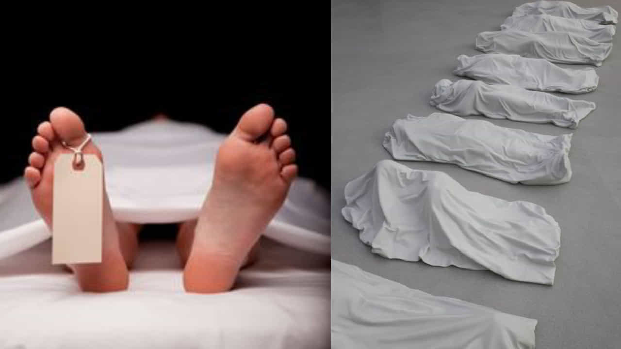Viral News: 24 ವರ್ಷದ ಈ ಯುವತಿ ಕಳೆದ 5ವರ್ಷಗಳಿಂದ ಶವಾಗಾರದಲ್ಲಿ ಕೆಲಸ ಮಾಡುತ್ತಿದ್ದಾಳೆ Viral News: 24 ವರ್ಷದ ಈ ಯುವತಿ ಕಳೆದ 5ವರ್ಷಗಳಿಂದ ಶವಾಗಾರದಲ್ಲಿ ಕೆಲಸ ಮಾಡುತ್ತಿದ್ದಾಳೆ