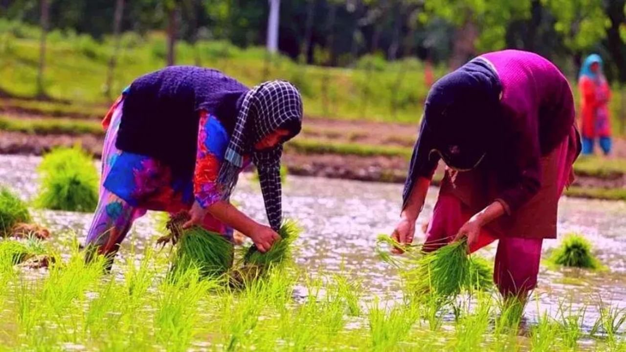 ರೈತರೇ ಗಮನಿಸಿ: ಕೃಷಿ ಭಾಗ್ಯ ಯೋಜನೆಯಡಿ ಅರ್ಜಿ ಸಲ್ಲಿಸಲು ಡಿ. 31 ಕೊನೆಯ ದಿನ