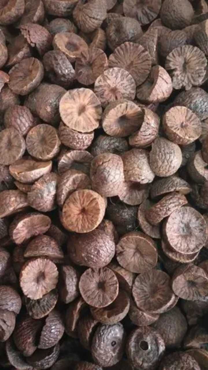 Arecanut 2