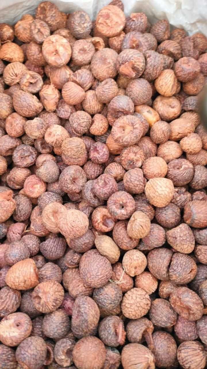 Arecanut 4