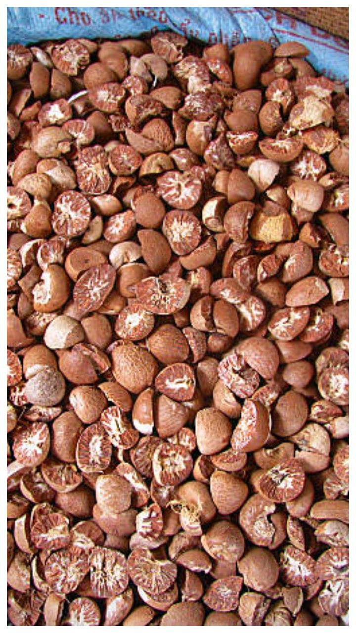 ಬೆಳ್ತಂಗಡಿ ಅಡಿಕೆ ಧಾರಣೆ