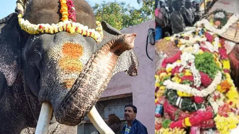 ಅನುಮಾನ ಉಳಿಸಿಯೇ ಆನೆ ಅಂತ್ಯಕ್ರಿಯೆ: ಮಣ್ಣಲ್ಲಿ ಮಣ್ಣಾಯ್ತಾ ಅರ್ಜುನನ ಸಾವಿನ ರಹಸ್ಯ...!