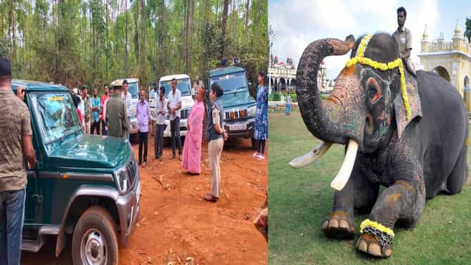 ಅರ್ಜುನ ಆನೆ ಹುತಾತ್ಮ ಪ್ರಕರಣ; ತನಿಖೆ ಆರಂಭಿಸಿದ ತನಿಖಾಧಿಕಾರಿಗಳು
