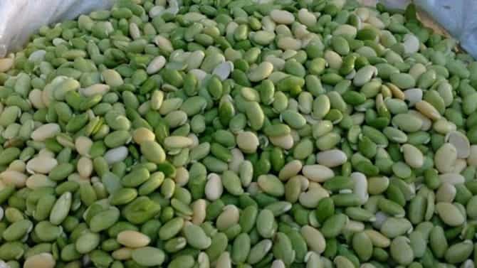 Avarebele Mela: ಬೆಂಗಳೂರಿನಲ್ಲಿ ಜ. 5 ರಿಂದ 9 ರವರೆಗೆ ‘ಅವರೆ ಬೇಳೆ ಮೇಳ’