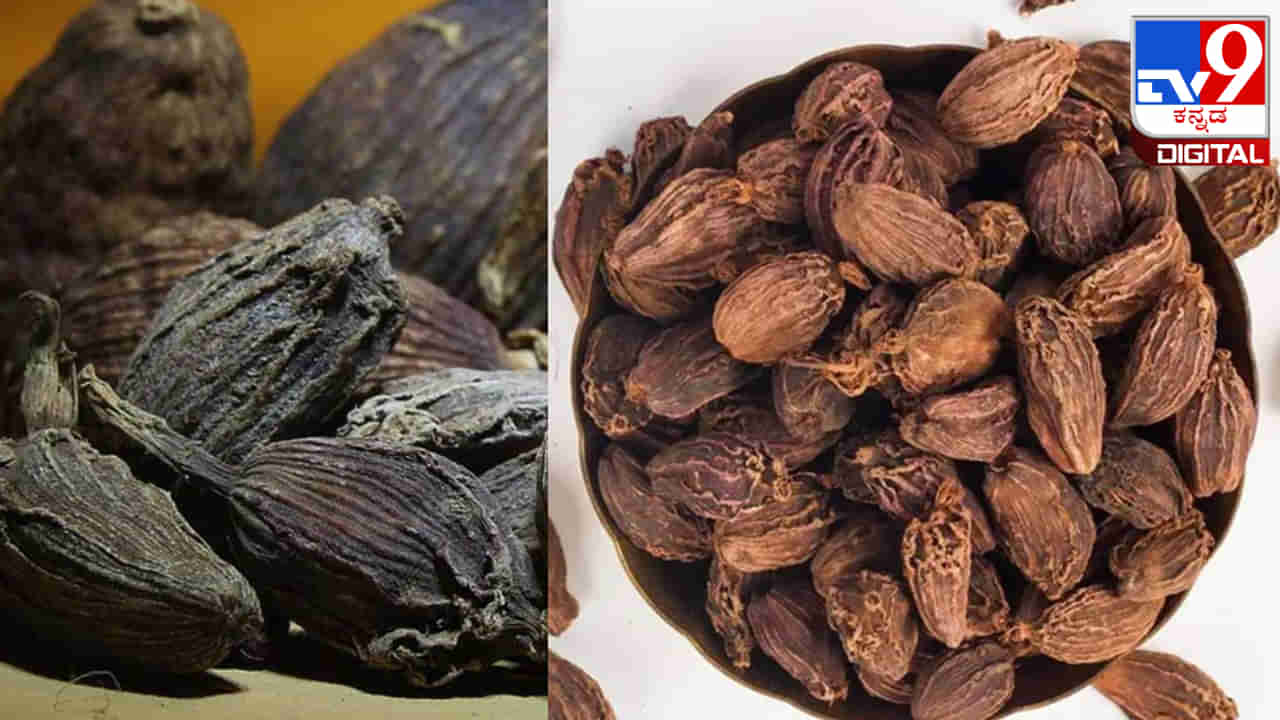 Black Cardamom: ಕಪ್ಪು ಏಲಕ್ಕಿಯಲ್ಲಿ ಅಡಗಿರುವ ಔಷಧೀಯ ಗುಣಗಳನ್ನು ಇಲ್ಲಿ ತಿಳಿದುಕೊಳ್ಳಿ