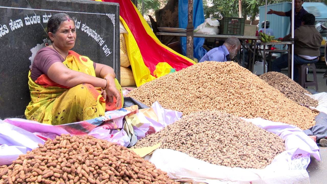 ಕಡಲೆಕಾಯಿ ಪರಿಷೆಯ ಜೊತೆಗೆ ಸಾಂಸ್ಕೃತಿಕ ಕಾರ್ಯಕ್ರಮಗಳನ್ನ ಕೂಡ ಆಯೋಜನೆ ಮಾಡಿದ್ದು, ನೂರಾರು ಸಂಖ್ಯೆಯಲ್ಲಿ ವ್ಯಾಪರಸ್ಥರು ಪರಿಷೆಗೆ ಬರಲಿದ್ದಾರೆ.‌ ಇನ್ನು, ಭಾರಿ ಪರಿಷೆಯಲ್ಲಿ ಆಂಧ್ರ, ತಮಿಳುನಾಡು, ಬೆಳಗಾವಿ, ಚಿಕ್ಕಬಳ್ಳಾಪುರ ನಾಟಿ, ಸೇಲ್ವಾಂ ಸೇರಿದಂತೆ ವಿವಿಧ ಬಗೆಯ ಕಡಲೆಕಾಯಿಗಳು ಪರಿಷೆಯಲ್ಲಿ ಸಿಗಲಿದೆ.