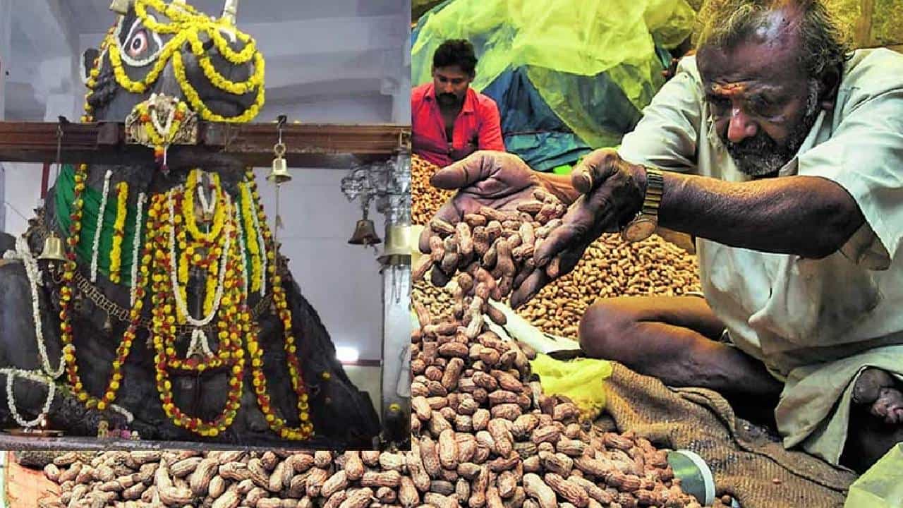 Kadlekai Parishe 2023: ಬಸವನಗುಡಿ ಕಡಲೆಕಾಯಿ ಪರಿಷೆ ಯಾವಾಗ, ಏಕಿಷ್ಟು ಪ್ರಾಮುಖ್ಯತೆ, ಕಾರ್ತಿಕ ಮಾಸದಲ್ಲೇ ಏಕೆ ನಡೆಯುತ್ತದೆ? ಇಲ್ಲಿದೆ ಮಾಹಿತಿ Kadlekai Parishe 2023: ಬಸವನಗುಡಿ ಕಡಲೆಕಾಯಿ ಪರಿಷೆ ಯಾವಾಗ, ಏಕಿಷ್ಟು ಪ್ರಾಮುಖ್ಯತೆ, ಕಾರ್ತಿಕ ಮಾಸದಲ್ಲೇ ಏಕೆ ನಡೆಯುತ್ತದೆ? ಇಲ್ಲಿದೆ ಮಾಹಿತಿ