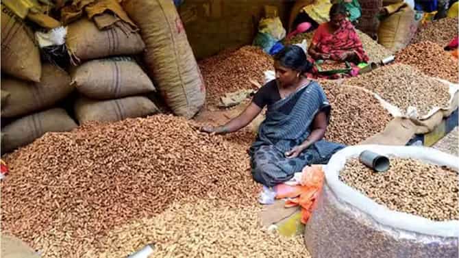 ಕಡಿಲೆಕಾಯಿ ಪರಿಷೆ 2023: 200 ಕೆಜಿಯಷ್ಟು ಪ್ಲಾಸ್ಟಿಕ್ ಸೀಜ್