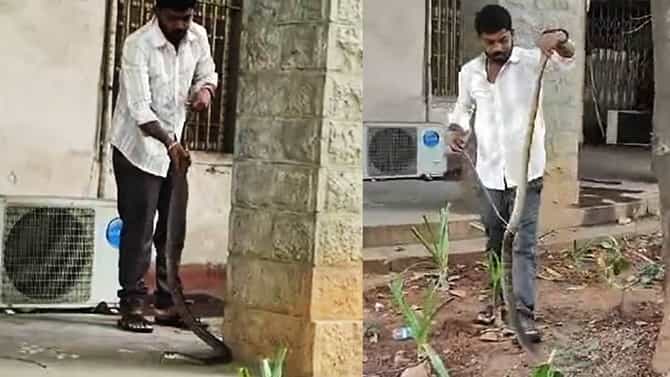 ಬಿಬಿಎಂಪಿ ಕೇಂದ್ರ ಕಚೇರಿಗೆ ಹಾವುಗಳ ಕಾಟ; ದಿಢೀರ್​ ಎಂಟ್ರಿಕೊಟ್ಟ ನಾಗಪ್ಪ