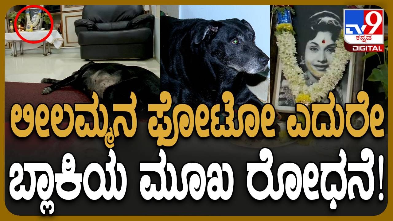 Leelavathi No More: ಅಗಲಿದ ತನ್ನೊಡತಿಯ ಭಾವಚಿತ್ರದ ಎದುರು ಲೀಲಾವತಿ ನೆಚ್ಚಿನ ನಾಯಿ ಬ್ಲ್ಯಾಕಿ ಮೂಕರೋದನೆ!