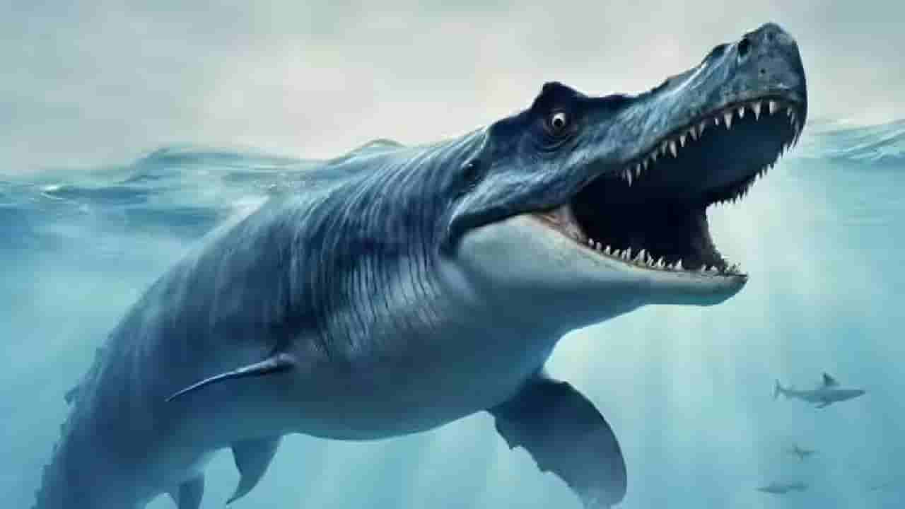 72 ಮಿಲಿಯನ್ ವರ್ಷಗಳ ಹಿಂದೆ ಪೆಸಿಫಿಕ್ ಸಮುದ್ರದಲ್ಲಿ ವಾಸಿಸುತ್ತಿದ್ದ ದೈತ್ಯ ನೀಲಿ ಡ್ರ್ಯಾಗನ್ ಮೊಸಾಸಾರ್!