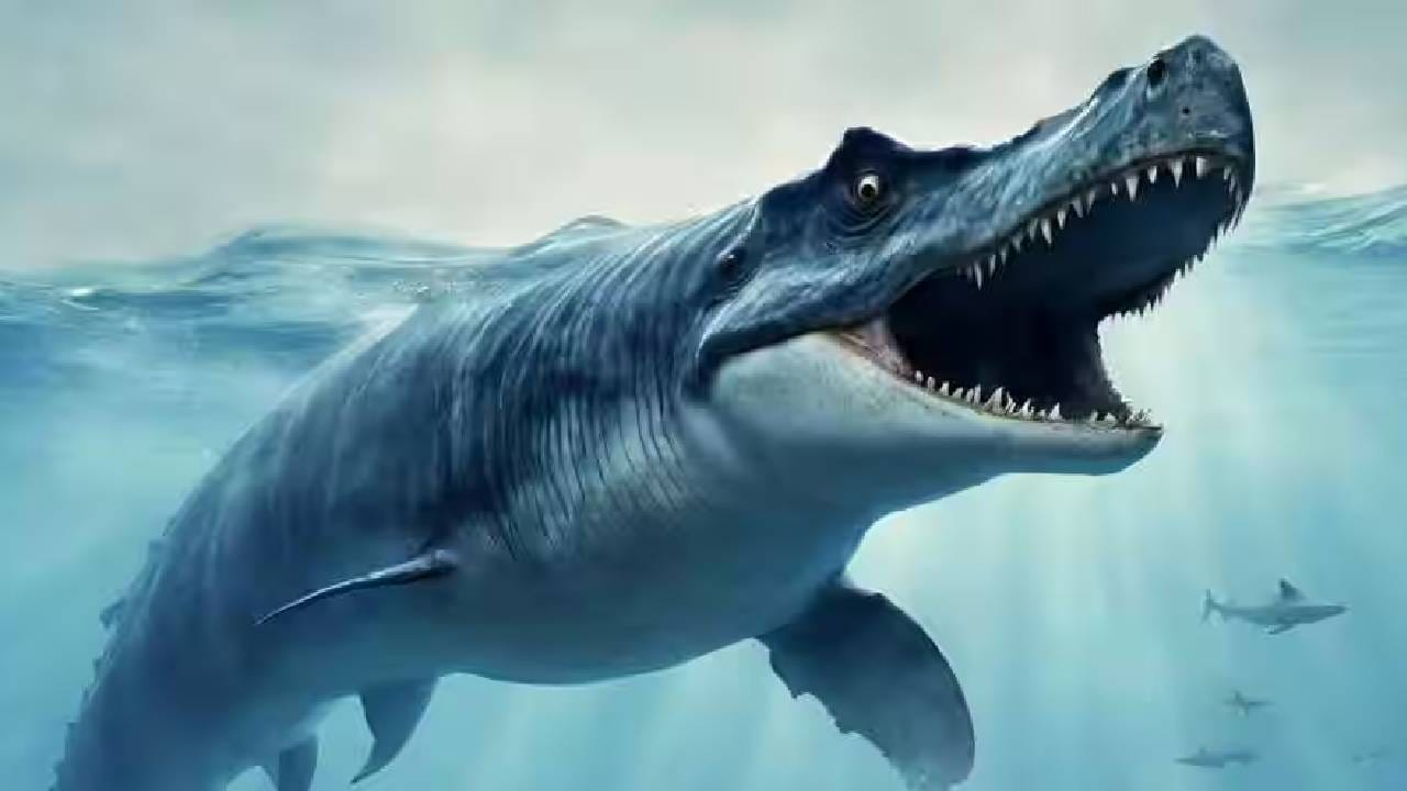 72 ಮಿಲಿಯನ್ ವರ್ಷಗಳ ಹಿಂದೆ ಪೆಸಿಫಿಕ್ ಸಮುದ್ರದಲ್ಲಿ ವಾಸಿಸುತ್ತಿದ್ದ ದೈತ್ಯ ನೀಲಿ ಡ್ರ್ಯಾಗನ್ ಮೊಸಾಸಾರ್! 72 ಮಿಲಿಯನ್ ವರ್ಷಗಳ ಹಿಂದೆ ಪೆಸಿಫಿಕ್ ಸಮುದ್ರದಲ್ಲಿ ವಾಸಿಸುತ್ತಿದ್ದ ದೈತ್ಯ ನೀಲಿ ಡ್ರ್ಯಾಗನ್ ಮೊಸಾಸಾರ್!