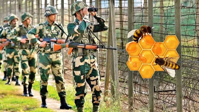 ಬಿಎಸ್​​ಎಫ್​​​ನಿಂದ ಜೇನು ಕೃಷಿ; ಒಳನುಸುಳುವಿಕೆ ತಡೆಯಲು ವಿನೂತನ ತಂತ್ರ
