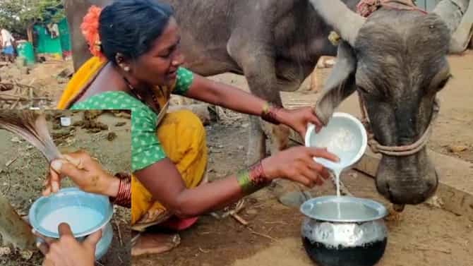 ತಲೆಮಾರುಗಳಿಂದ ಆ ಗ್ರಾಮದಲ್ಲಿ ಹಾಲು ಮಾರುವುದು ನಿಷಿದ್ಧ... ಯಾಕೆ