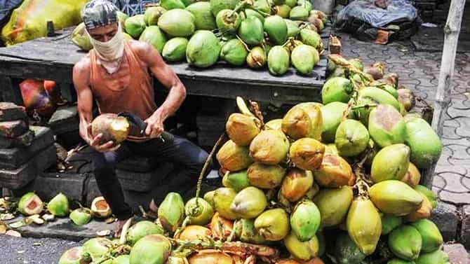 ಕರ್ನಾಟಕದ ತೆಂಗು ಬೆಳೆಗಾರರಿಗೆ ಕೇಂದ್ರ ಸರ್ಕಾರ ಬಂಪರ್ ಕೊಡುಗೆ