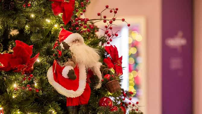 Christmas Eve 2023: ಕ್ರಿಸ್​ಮಸ್​ ಈವ್ ಹಬ್ಬದ ಇತಿಹಾಸ, ಮಹತ್ವ, ಆಚರಣೆ