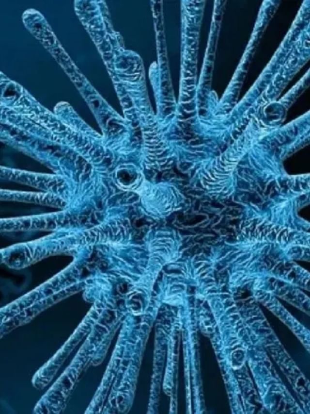 ಕೊರೊನಾಗೆ ಬೆಂಗಳೂರೇ ಹಾಟ್​ಸ್ಪಾಟ್​: ಒಟ್ಟು ಪ್ರಕರಣಗಳಲ್ಲಿ ಶೇ 90 ನಗರದಲ್ಲೇ ಪತ್ತೆ