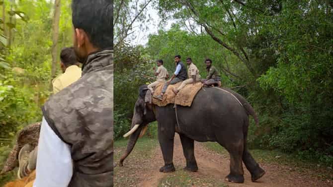 ಮದವೇರಿದ ಕಾಡಾನೆ ಜೊತೆ ಕಾದಾಡಿ ಮಂಡಿ ಊರಿದ ಅರ್ಜುನ; ಸಾವಿನ ಸತ್ಯ ಬಯಲು