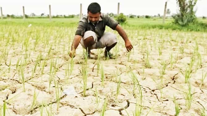 ಕನ್ಯಾಭಾಗ್ಯ ಯೋಜನೆ ಜಾರಿಗೆ ತಂದು ರೈತನಿಗೆ ಮದುವೆ ಮಾಡಿಸಿ;DCಗೆ ರೈತನ ಅರ್ಜಿ