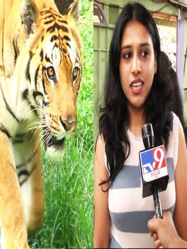 ಬನ್ನೇರುಘಟ್ಟ ಜೈವಿಕ ಉದ್ಯಾನವನಕ್ಕೆ ಹರಿದು ಬಂದ ಜನಸಾಗರ; ಪ್ರಾಣಿ- ಪಕ್ಷಿಗಳನ್ನ ನೋಡಿ ಪ್ರವಾಸಿಗರು ಫುಲ್ ಖುಷ್