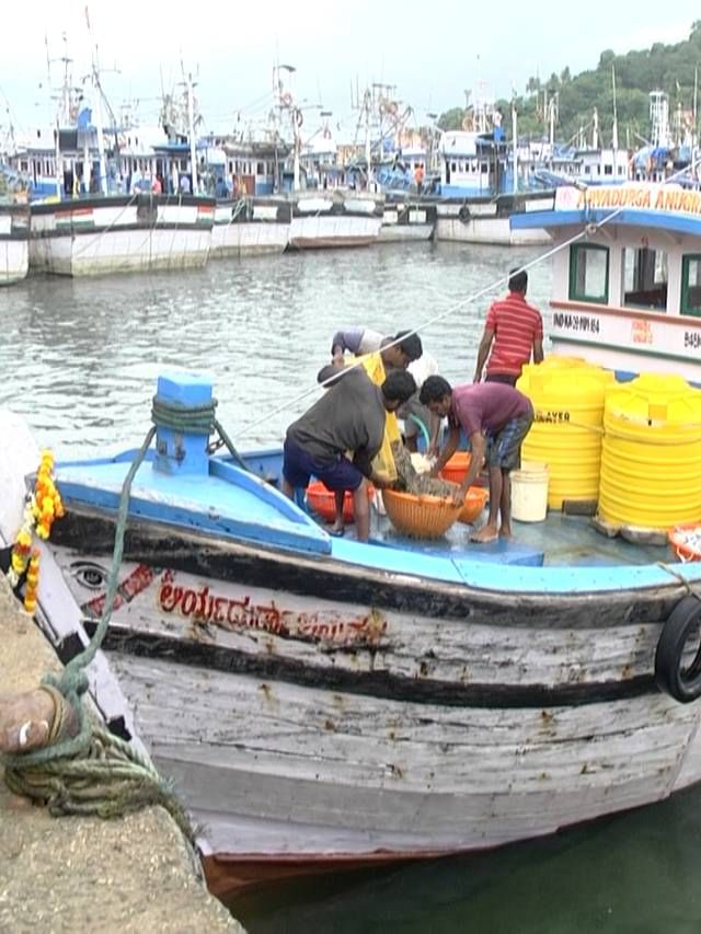ಹವಾಮಾನ ಬದಲಾವಣೆ ಕೈಕೊಟ್ಟ ಮೀನುಗಾರಿಕೆ; ಬಂದರಿನಲ್ಲಿ ಲಂಗರು ಹಾಕಿವೆ ಸಾವಿರಾರು ಬೋಟುಗಳು