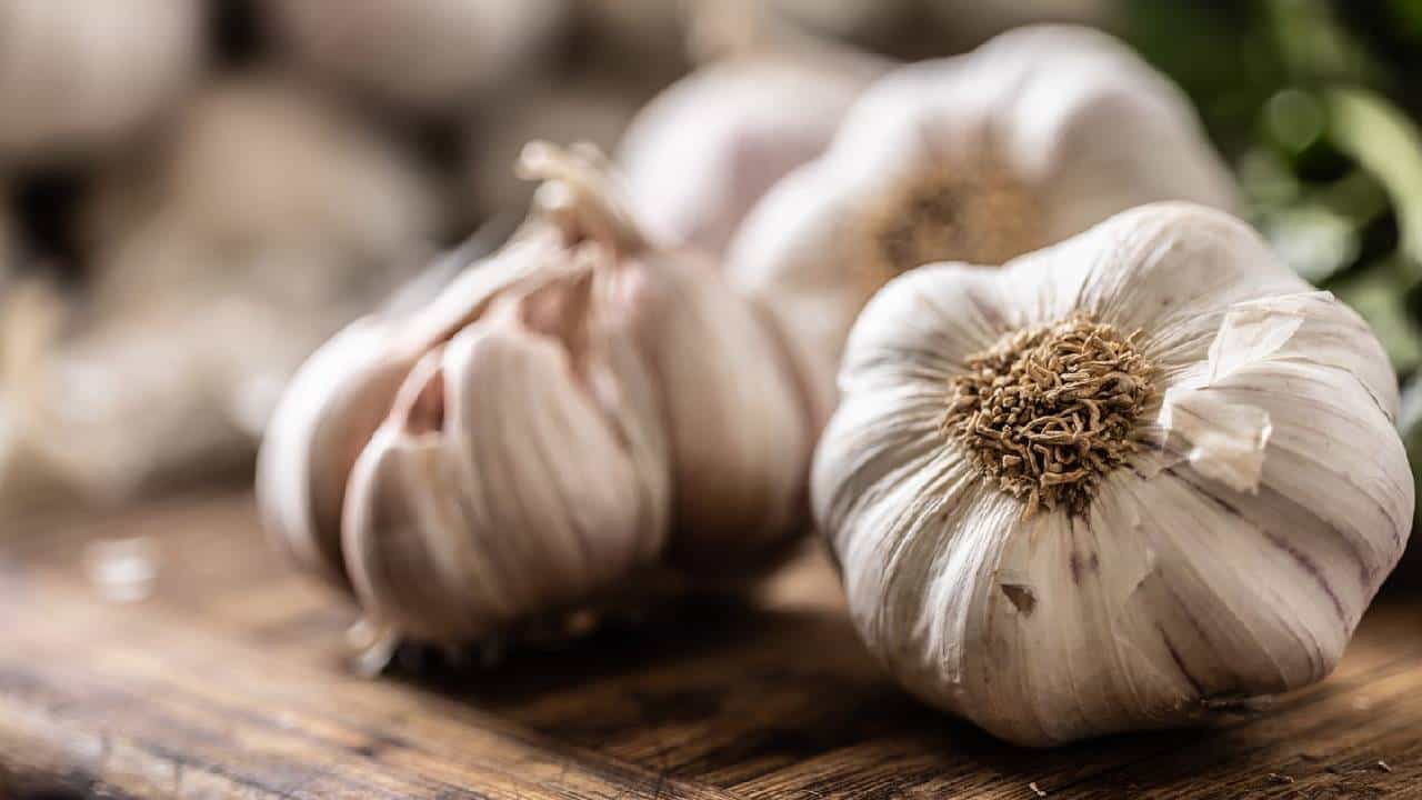 Garlic Price: ದುಬಾರಿ ದುನಿಯಾ...! ಟೊಮೆಟೋ, ಈರುಳ್ಳಿ ಆಯ್ತು ಈಗ ಜನರ ಕಣ್ಣೀರು ಸುರಿಸುವ ಸರದಿ ಬೆಳ್ಳುಳ್ಳಿಯದ್ದು Garlic Price: ದುಬಾರಿ ದುನಿಯಾ...! ಟೊಮೆಟೋ, ಈರುಳ್ಳಿ ಆಯ್ತು ಈಗ ಜನರ ಕಣ್ಣೀರು ಸುರಿಸುವ ಸರದಿ ಬೆಳ್ಳುಳ್ಳಿಯದ್ದು