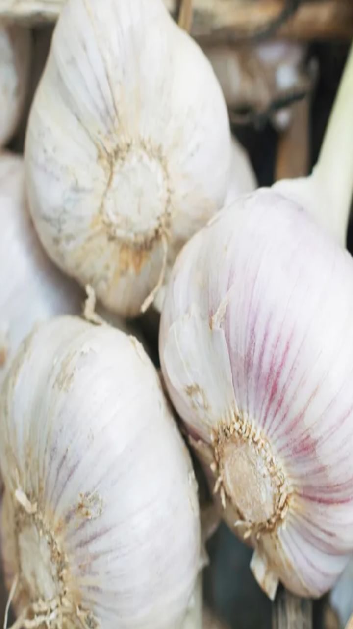 ಅಂತರ್ಜಲ ಕುಸಿತದಿಂದಾಗಿ ಏರಿದ ಬೆಳ್ಳುಳ್ಳಿ ಬೆಲೆ