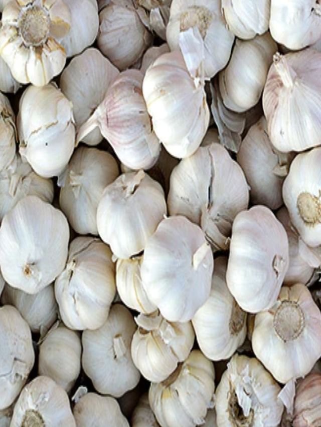 ಬೆಳ್ಳುಳ್ಳಿ ಬೆಲೆ ಏರಿಕೆಗೆ ಕಾರಣವೇನು?