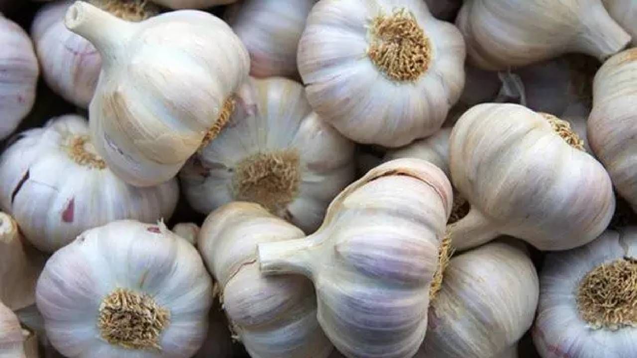 Garlic Price: ಟೆಮೆಟೊ, ಈರುಳ್ಳಿ ಆಯ್ತು ಈಗ ಬೆಳ್ಳುಳ್ಳಿ ಸರದಿ, ಬಲು ದುಬಾರಿ!