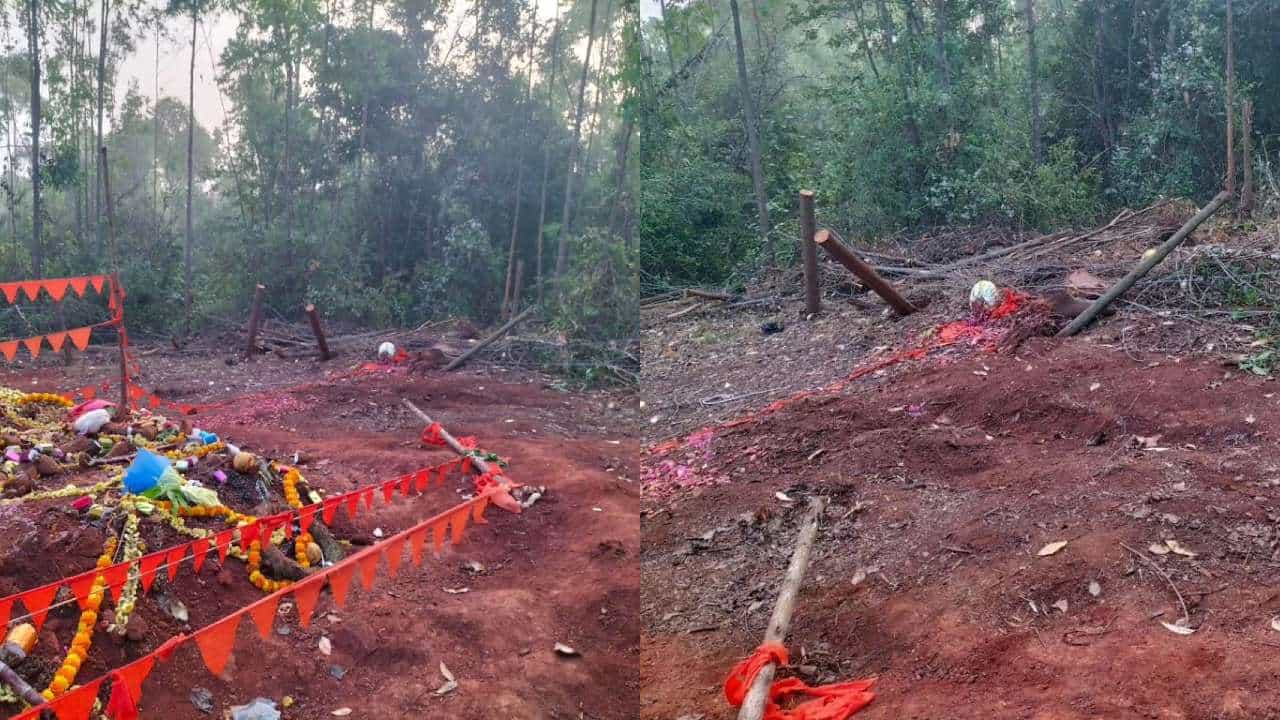 ಹಾಸನ: ಅರ್ಜುನ ಆನೆ ಸಮಾಧಿ ಮೇಲೆ ಕಾಡಾನೆಗಳ ದಾಂಧಲೆ ಹಾಸನ: ಅರ್ಜುನ ಆನೆ ಸಮಾಧಿ ಮೇಲೆ ಕಾಡಾನೆಗಳ ದಾಂಧಲೆ