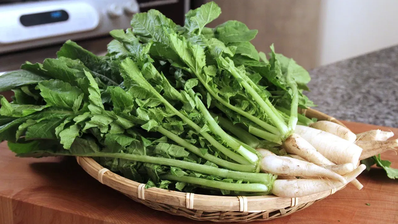 ಮೂಲಂಗಿ ಸೊಪ್ಪು ಅಥವಾ ಎಲೆಗಳ (Radish Leaves) ಆರೋಗ್ಯ ಪ್ರಯೋಜನಗಳು: ಅನೇಕ ಜನರು ತೊವ್ವೆ, ಸಾಂಬಾರ್, ಕರಿಯಂತಹ ಆಹಾರಗಳಲ್ಲಿ ಮೂಲಂಗಿ ಸೊಪ್ಪು/ ಎಲೆಗಳನ್ನು ಬಳಸುತ್ತಾರೆ. ಆದರೆ, ಮುಲ್ಲಂಗಿ ಎಲೆಗಳನ್ನು ಕಸ ಎಂದು ಪರಿಗಣಿಸಿ ಹೊರಗೆ ಹಾಕುವವರೇ ಹೆಚ್ಚು. ತಿಳಿದುಕೊಳ್ಳಿ ಮೂಲಂಗಿ ಎಲೆ ಕೆಟ್ಟದ್ದಲ್ಲ, ಹೇರಳವಾದ ಪೋಷಕಾಂಶಗಳು ಅದರಲ್ಲಿದೆ ಎನ್ನುತ್ತಾರೆ ಆರೋಗ್ಯ ತಜ್ಞರು. ಈ ಎಲೆಗಳು ವಿಟಮಿನ್ ಕೆ, ವಿಟಮಿನ್ ಸಿ, ಕಬ್ಬಿಣ, ಮೆಗ್ನೀಸಿಯಮ್, ಫೋಲೇಟ್, ಕ್ಯಾಲ್ಸಿಯಂನಂತಹ ಪೋಷಕಾಂಶಗಳಿಂದ ತುಂಬಿವೆ ( Health Benefits). ಮುಲ್ಲಂಗಿ ಎಲೆಗಳನ್ನು ನಮ್ಮ ಆಹಾರದಲ್ಲಿ ಸೇರಿಸಿದರೆ ಅನೇಕ ಆರೋಗ್ಯ ಪ್ರಯೋಜನಗಳನ್ನು ಪಡೆಯಬಹುದು ಎಂದು ತಜ್ಞರು ಸಲಹೆ (Health Tips) ನೀಡುತ್ತಾರೆ.