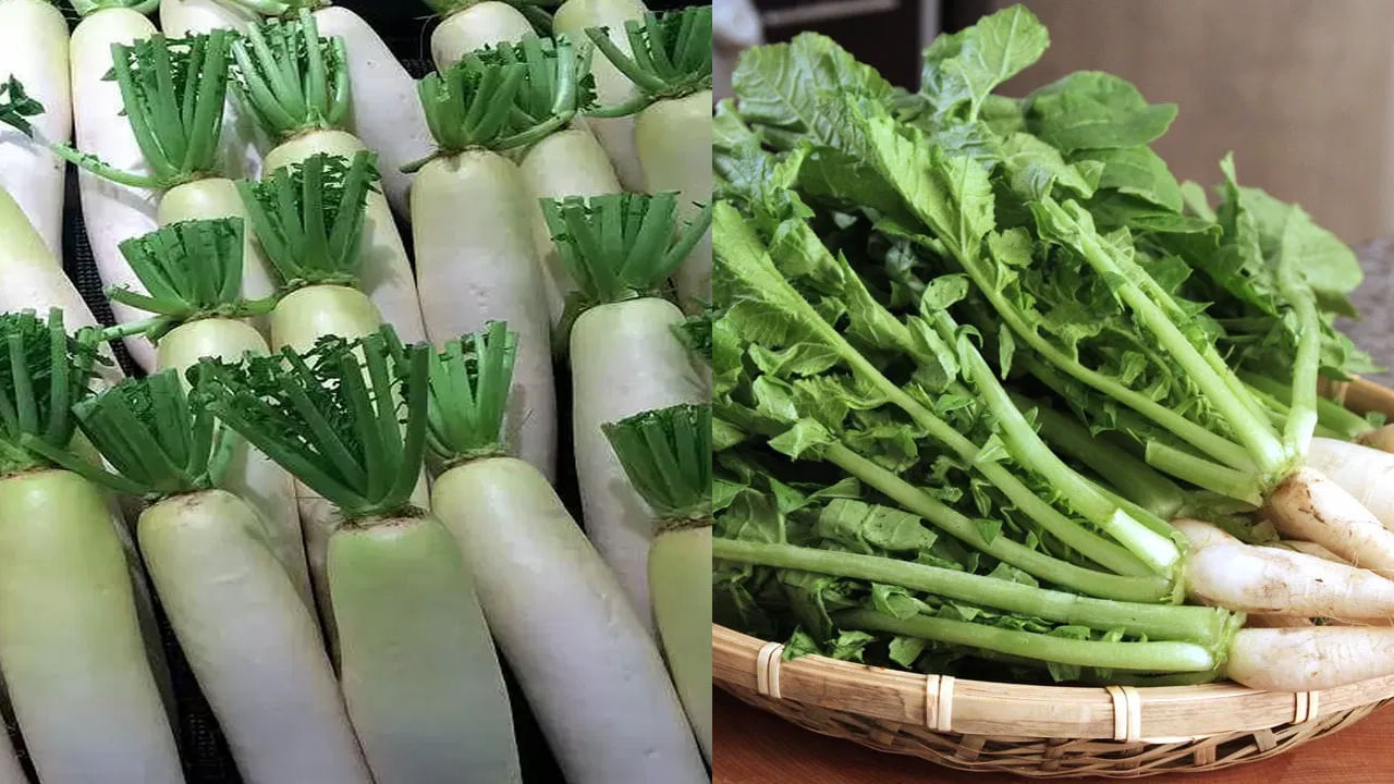 Radish Leaves Health Benefits ಮೂಲಂಗಿ ಸೊಪ್ಪು ಇದರ ಅದ್ಭುತ ಆರೋಗ್ಯಕಾರಿ