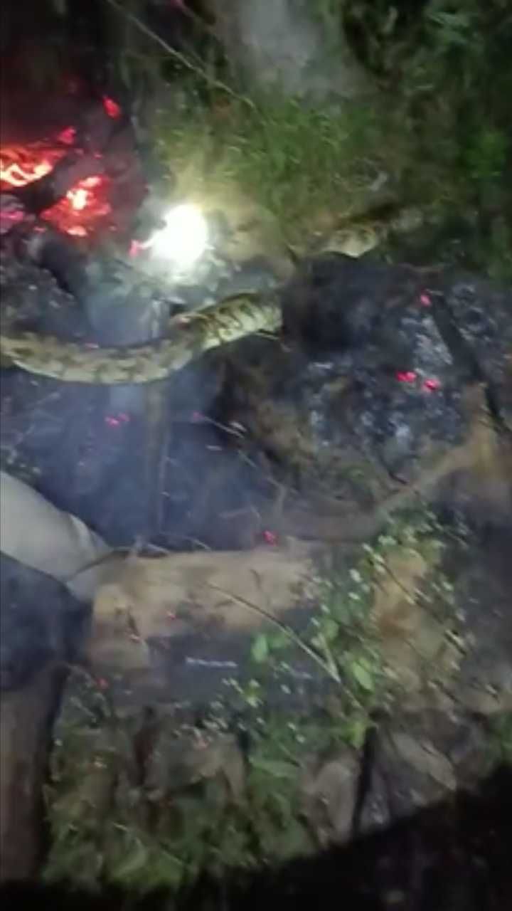 ಮೈಸೂರು ತಾಲ್ಲೂಕು ದುದ್ದುಗೆರೆ ಗ್ರಾಮದ ಫಾರ್ಮ್ ಹೌಸ್ ಬಳಿ ಘಟನೆ ನಡೆದಿದೆ.