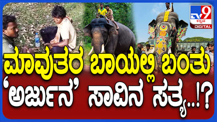 ದಸರಾ ಆನೆ ಅರ್ಜುನ ಸಾವನ್ನಪ್ಪಿದ್ಹೇಗೆ? ಮಾವುತನ ಬಾಯಲ್ಲಿ ಬಂತು ಸತ್ಯಾಂಶ ದಸರಾ ಆನೆ ಅರ್ಜುನ ಸಾವನ್ನಪ್ಪಿದ್ಹೇಗೆ? ಮಾವುತನ ಬಾಯಲ್ಲಿ ಬಂತು ಸತ್ಯಾಂಶ